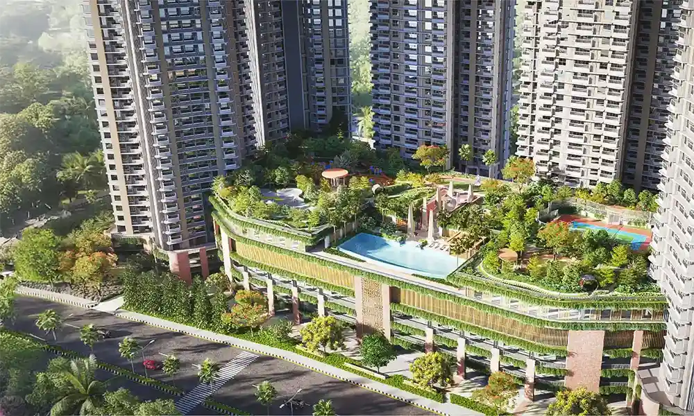 Immersive video background